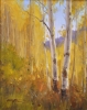 Aspen Color Study